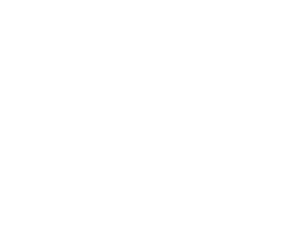 Handy Truck Line logo
